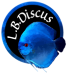 logo-LB Discus